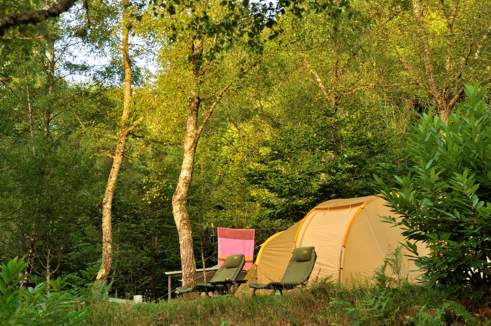 Basisprijs Natuurplaats (1 tent, caravan of camper zonder elektriciteit / 1 auto)